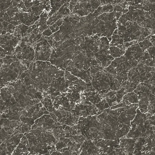 Storm Taupe Marble